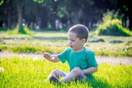 Little boy picking dandelions in the park