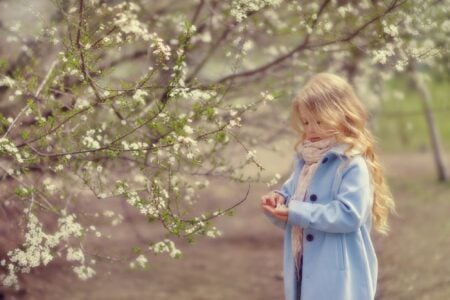 Little girl in a blue coat looking at the cherry petals in her hand