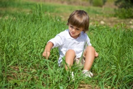 Pretty boy sitting on grass