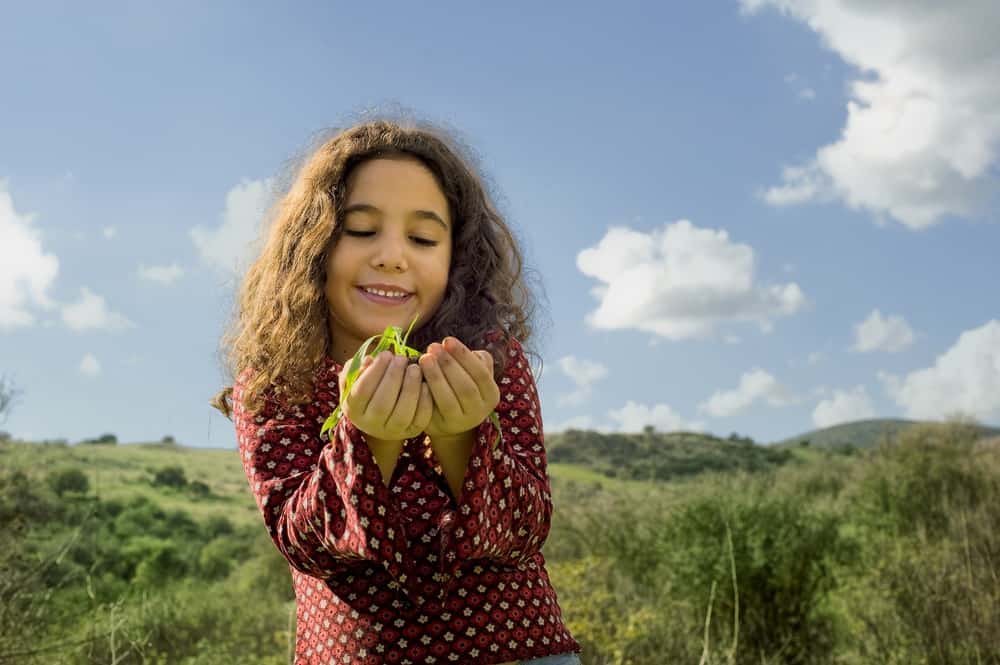 Cheerful girl holding plant in meadow on sunny day