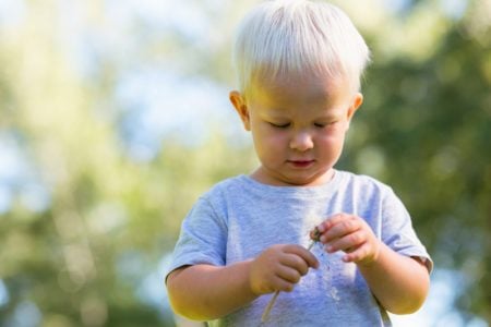 Sweet small boy looking at a flower