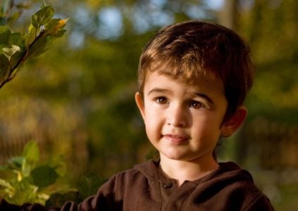 Cute little boy spending time in the park