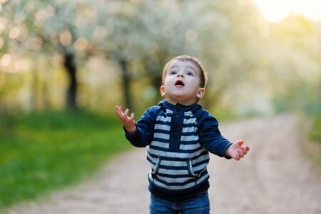 Adorable little boy in the park looking up