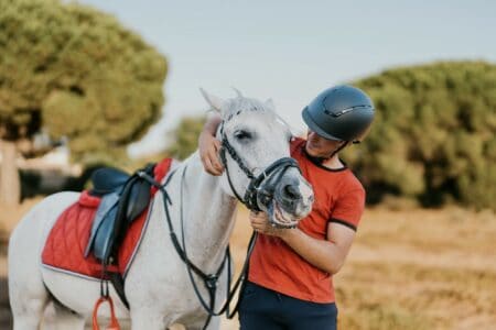 Man taking care of white horse in the field on sunny day