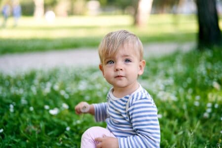 Little boy picking dandelions in the park