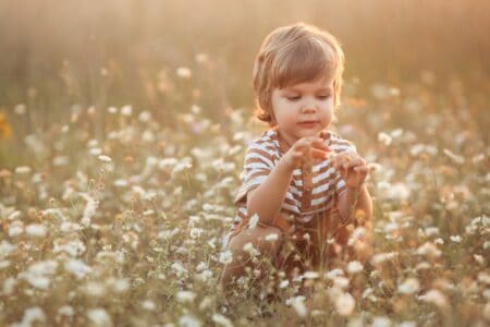 Cute little boy picking camomiles in the field