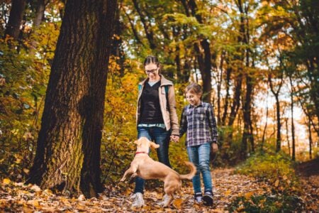 A mother and her daughter taking a walk in the forest with their dog.