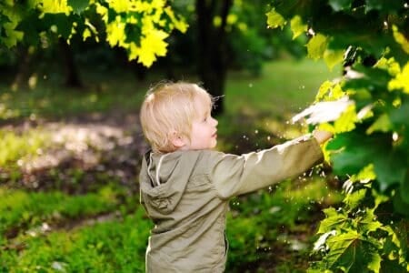 Cute little boy having fun in summer park