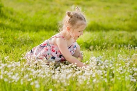 Adorable little girl in summer dress with pigtails in green field with flowers