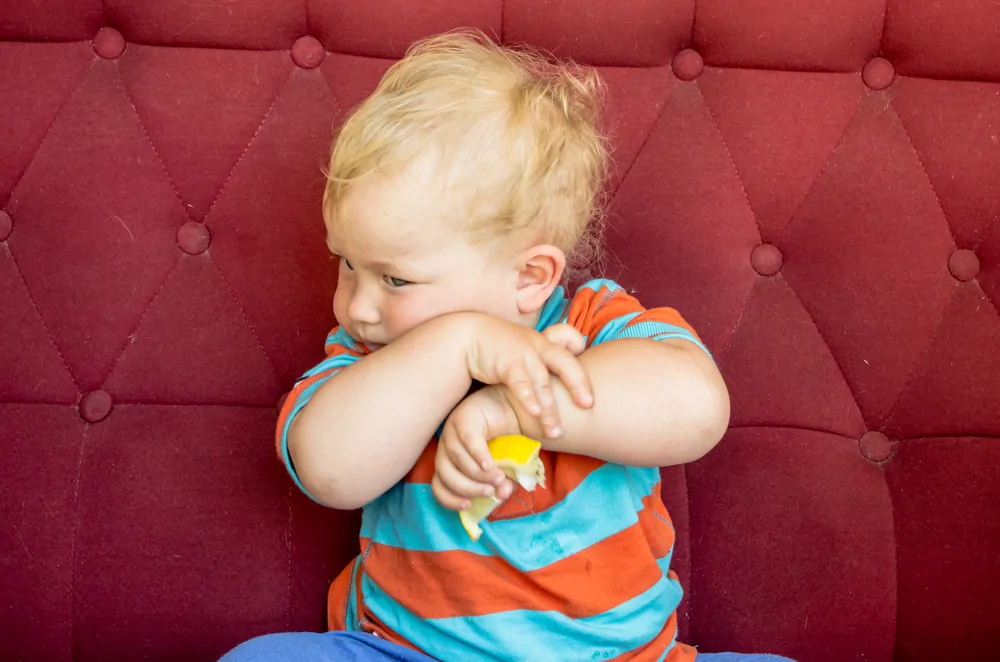 Toddler trying a lemon for the first time